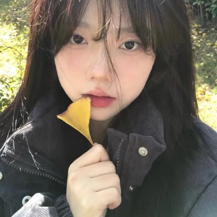 新恋爱经